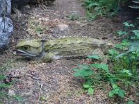 Albums/20060200-New Zealand 2006/20060212-south/22